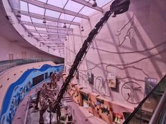 -陕西自然博物馆