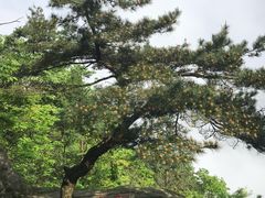 -含鄱口