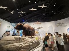 -中国湿地博物馆