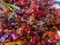 -巴依老爷新疆美食(常营店)