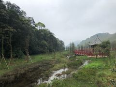 -广州市石门国家森林公园