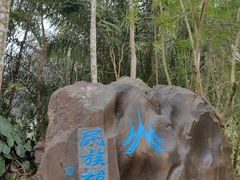 -中国科学院西双版纳热带植物园