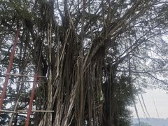 -中国船政文化博物馆