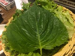 -农乐园炭火烤肉(世茂店)