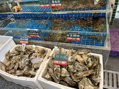 -飞尝蚝·顺德菜·鱼生(顺德总店)