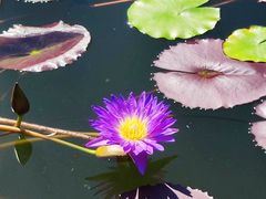 -国家植物园南园