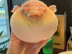 -永安鱼庄·镇江菜(东吴路店)