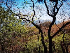 -北京鹫峰国家森林公园