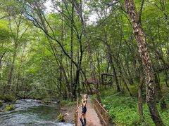 -叠溪松坪沟景区
