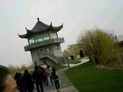 -盐城丹顶鹤湿地生态旅游区