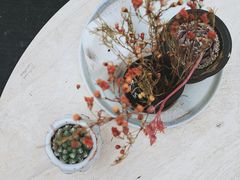 -北马山庄植趣咖啡