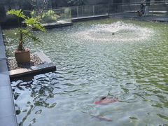 -太子园林酒家