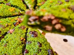 -长风源·寻衢味(20年老店)