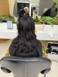 -GANO HAIR 
