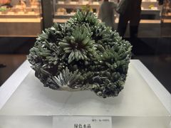 -湖南省地质博物馆