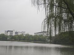 -东华大学(松江校区)