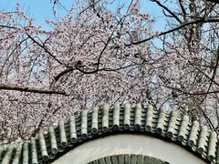 -桃花堤公园