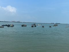 -北海金海湾红树林生态旅游区