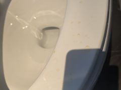 -上海外滩雅致酒店
