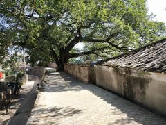 -大京沙滩