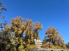 -北京石刻艺术博物馆(五塔寺)