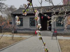 -万泉公园
