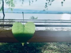 -西昌邛海湿地