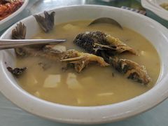 昂刺鱼豆腐汤-状元楼(金溪路店)