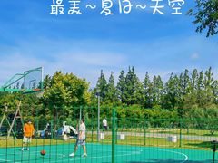 -前小桔亲子创意农场·草莓采摘·露营烧烤