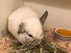 -龙猫仔乐园(惠福东路店)