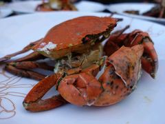 -Ministry of Crab(科伦坡店)