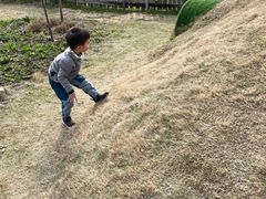 -前小桔亲子创意农场·草莓采摘·露营烧烤