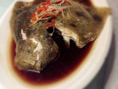-鱼翅楼·津派砂锅鱼翅(水上公园店)
