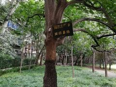 -解放人民公园