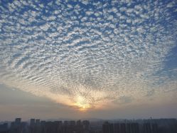 -舒雅母婴护理中心(天虹中心)