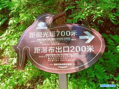 -汤旺河林海奇石景区