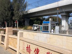 -宝安西湾红树林湿地公园