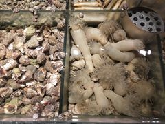 -宏运厨房·海鲜青岛菜·生日宴(城市阳台店)
