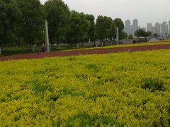 -汉江湾体育公园