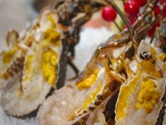 -喜聚薈·花膠雞海鮮火鍋(越秀店)