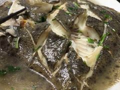 特色烤多宝鱼-永红源·啤酒烧烤海鲜大排档(台柳路店)