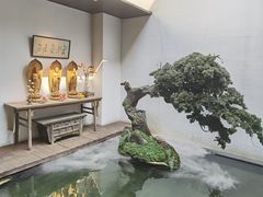 -觀芷隐轩