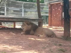 -昆明动物园