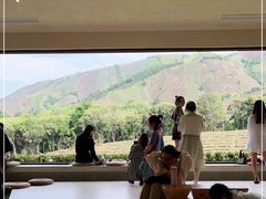 -白茶原·一片叶子