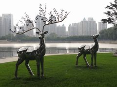 -西北湖绿化广场