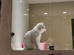 -乐宠宠物店(世纪金源店)