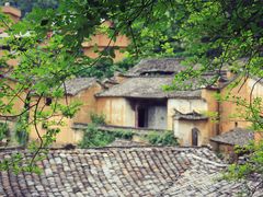 -杨家堂村