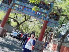-北京国子监胡同