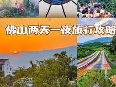 -南丹山森林王国