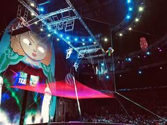 -俄罗斯国家大马戏团